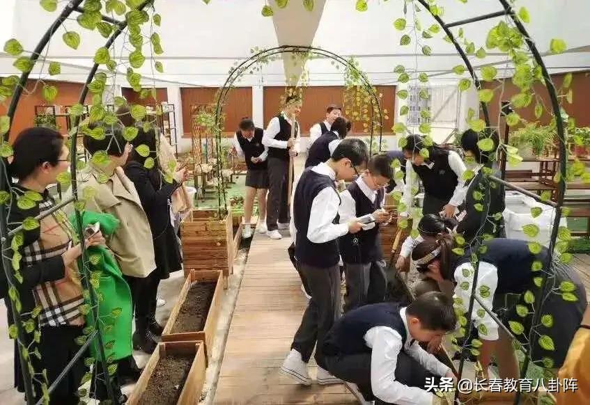 北师大为什么是顶尖985,北师大为什么那么多附属学校