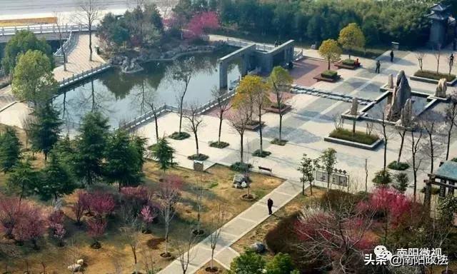 南阳春天踏青,南阳有哪些适合春游的地方