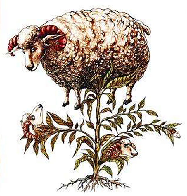 传说中的羊,传说中的动物有哪些是真实存在的