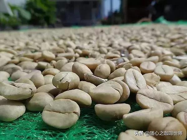 咖啡豆的好坏该怎样分辨,怎样购买咖啡豆质量好坏