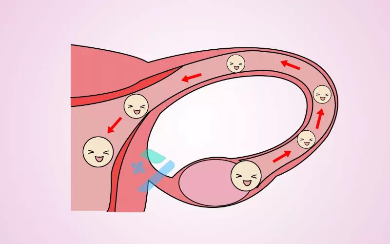 母亲节快到了想看看母亲照片,母亲节要到了问问你妈要什么