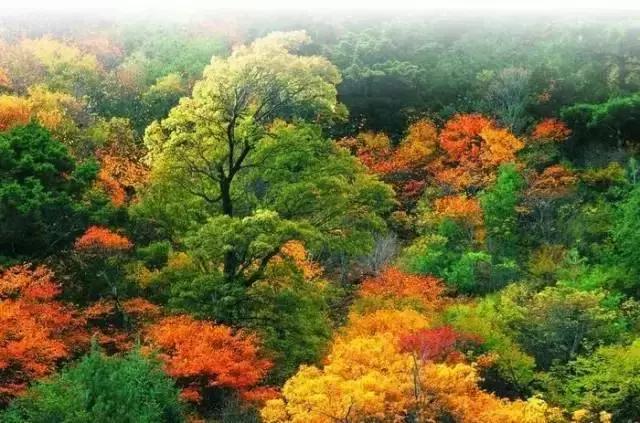 哈尔滨周边有10多个绝美胜地,哈尔滨自驾三亚边走边玩最佳路线