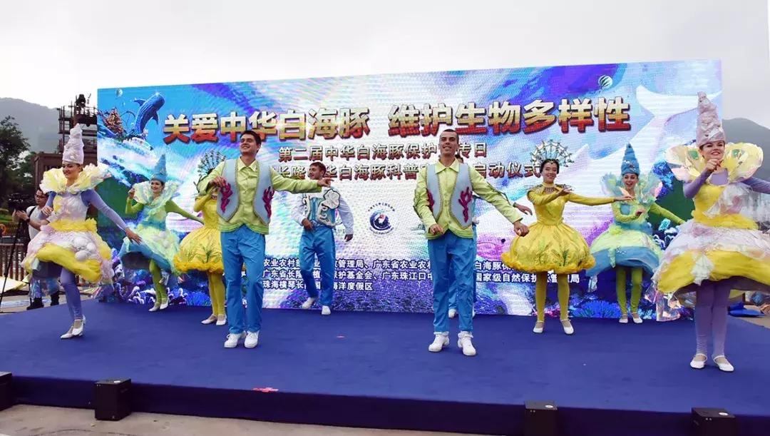 保护中华白海豚的必要性,保护中华白海豚为海洋发声