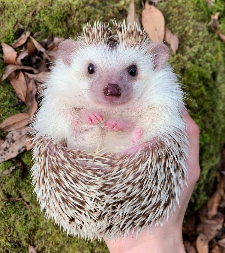 「第四期」一辆房车,三只毛孩子,三个姑娘,9476公里奇遇记