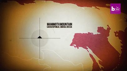 木乃伊泡水里吗,木乃伊泡水喝