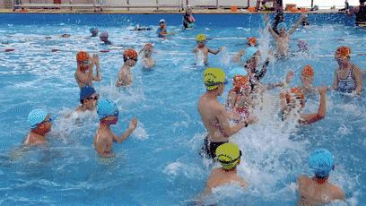 哪里学游泳最便宜又好,暑假学游泳去哪里学