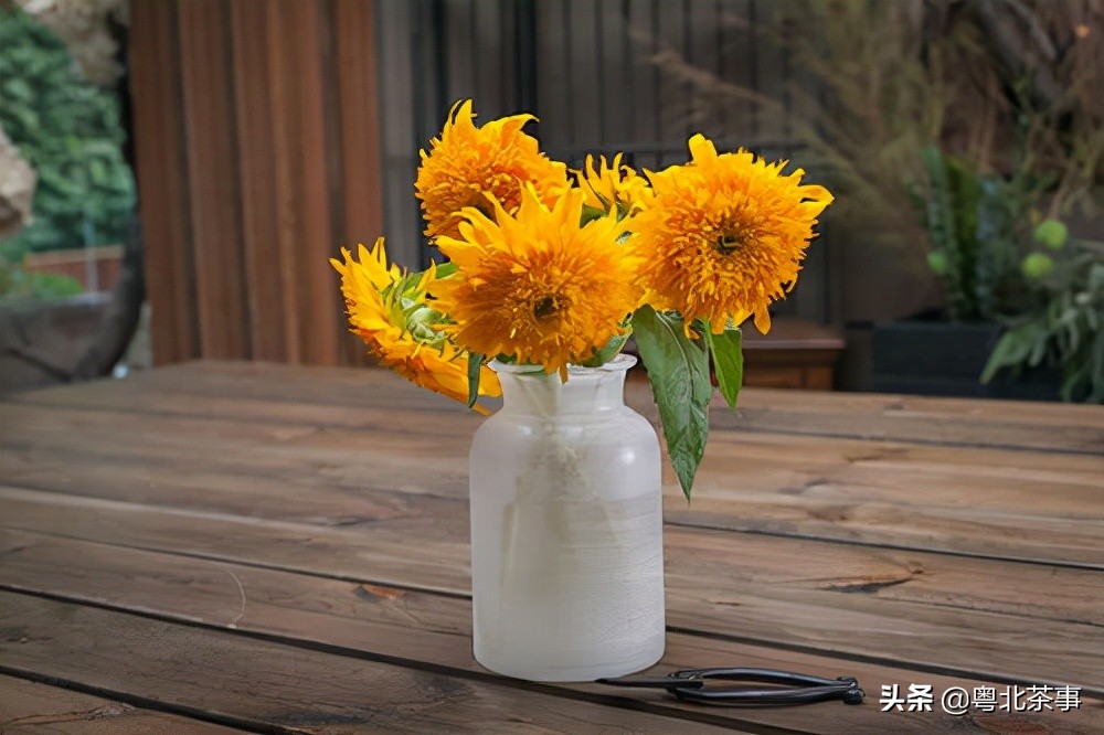 我26岁，不顾朋友劝阻奔现网友，结果被骗得身无分文后悔万分