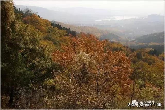 莱芜比较好的乡镇,莱芜乡镇有哪些