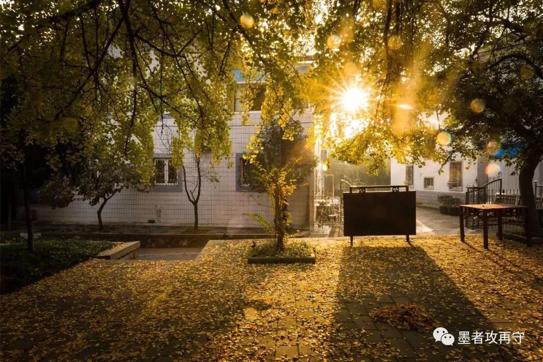 一入秋西安就美成长安,一入秋杭州就美成临安