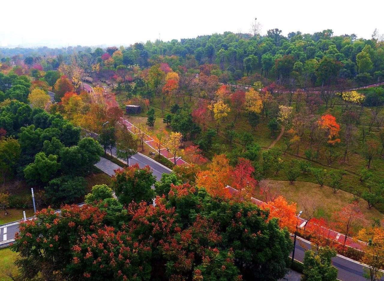 武汉十大免费公园,武汉最大的免费湿地公园