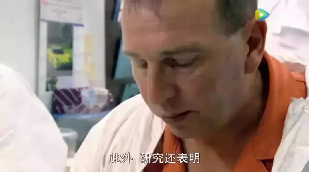 吃早餐真的会让人变胖嘛,bbc科学实验