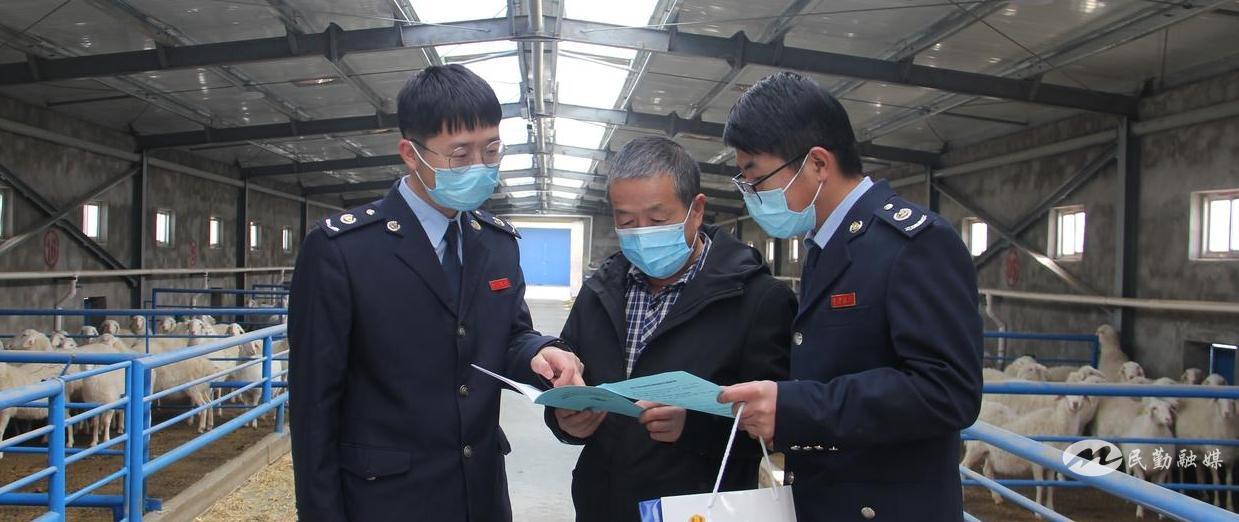 农业养羊补贴政策,养羊政府兜底