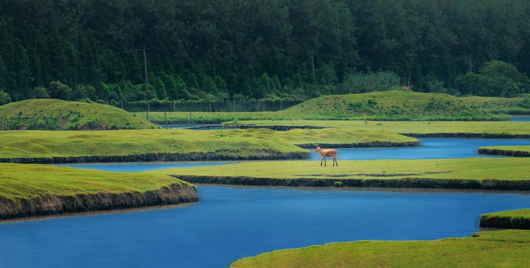 泰州中国最幸福的城市,泰州哪里比扬州好