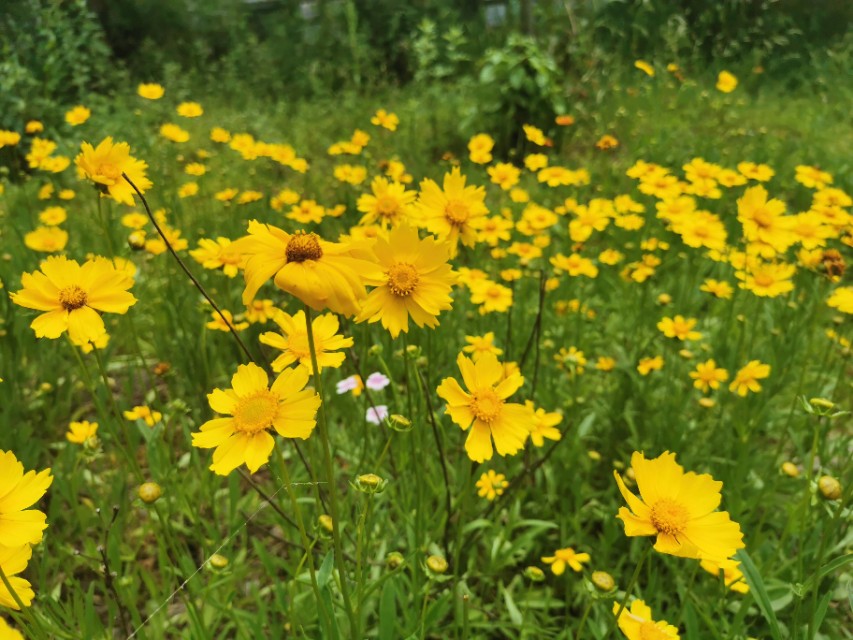 人为什么会看着一个地方发呆,有时候可以看着一个地方发呆很久
