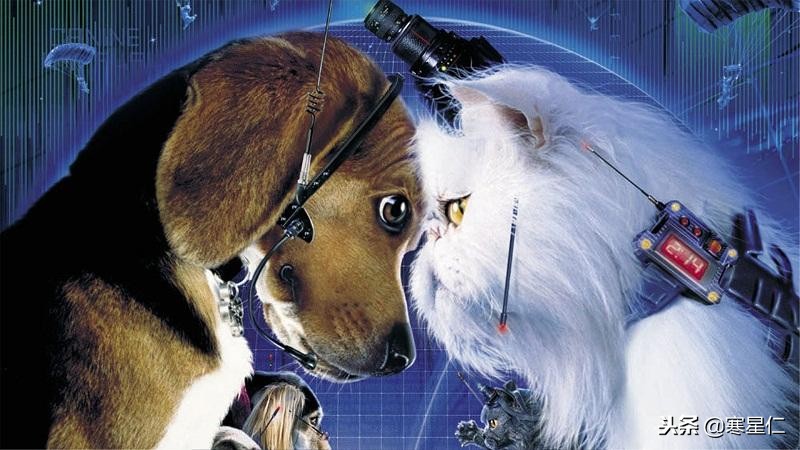 十部不能错过的汪星人主题电影,和汪星人有关的四部外国电影