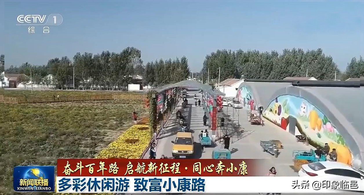 我叫临邑,这是我的新简历