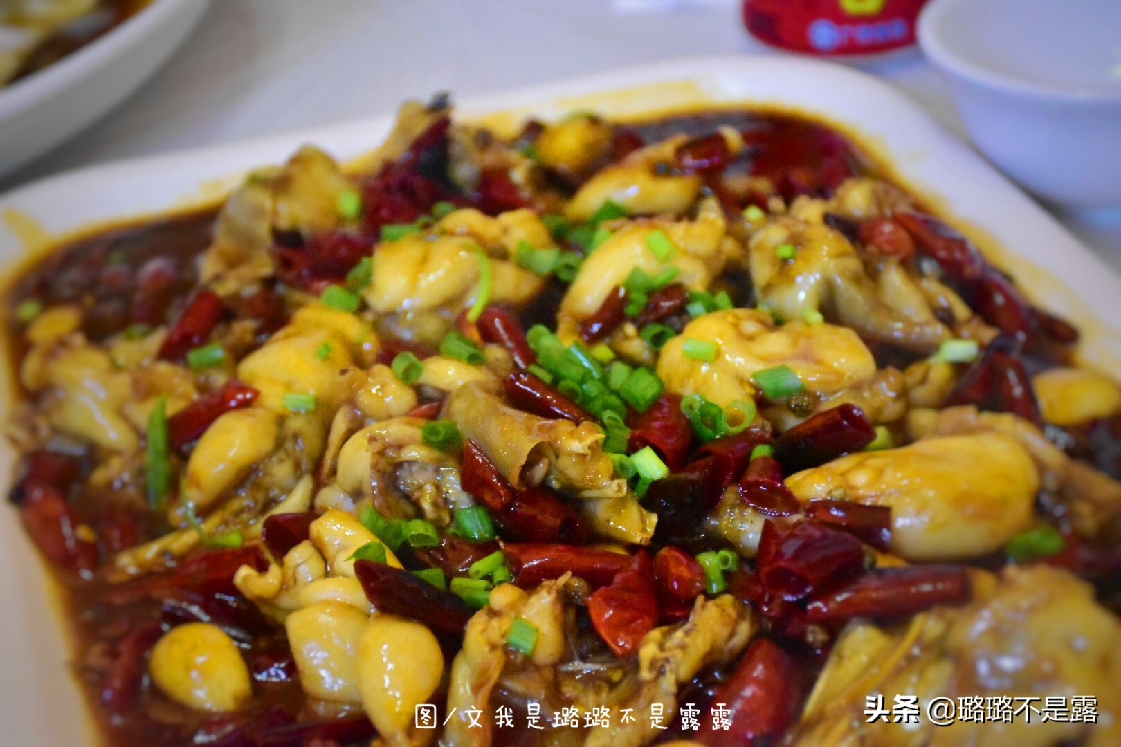 检验鱼最好的方法,怎样鉴别鱼是否是健康的