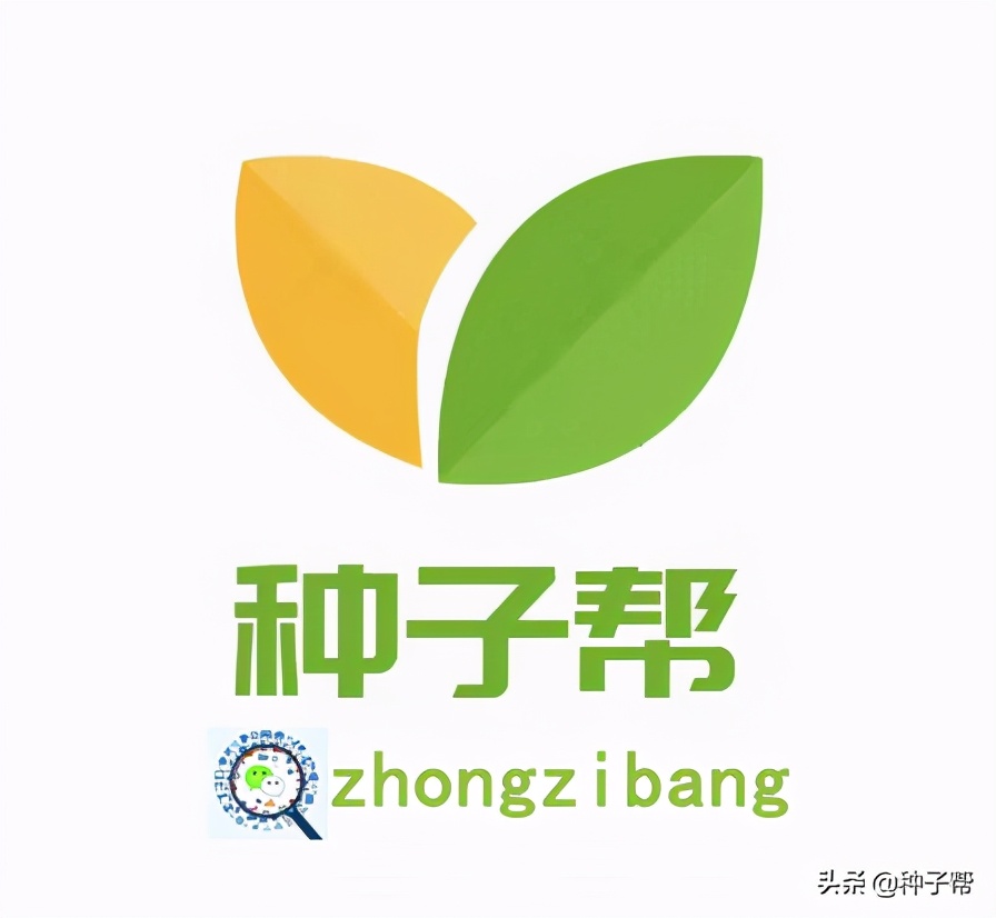 别再把狗尾草当杂草了，它还具有这么多的用途，长知识了