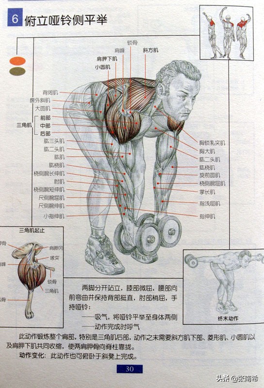 男士健身的进阶之路,男士运动健身全攻略