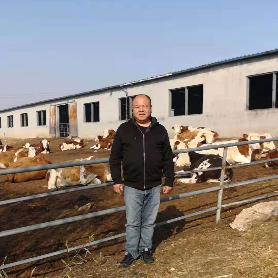 6000多头“澳妞”登陆京唐港中澳贸易即将零关税安格斯关税直降2%