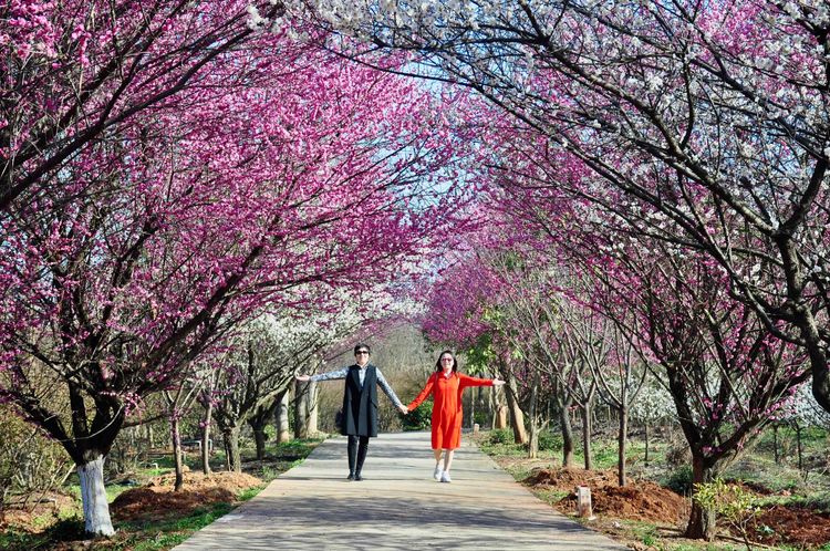 傅家边野营,走进金溪傅家村