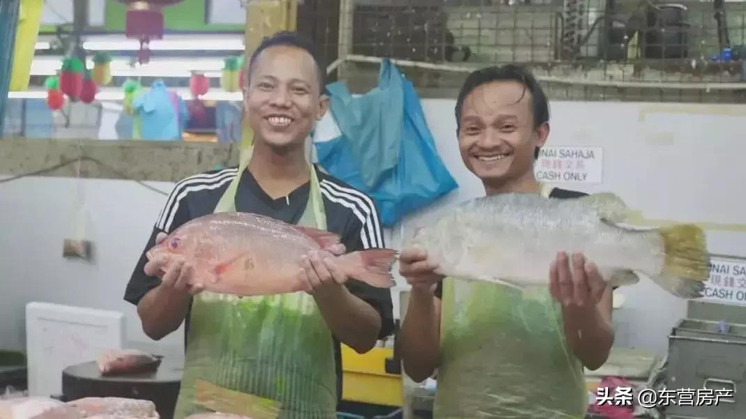 碧桂园森林城市与海花岛,碧桂园城市花园格局