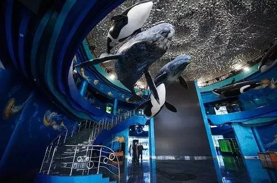 一直被我们忽略的那个离我们很近的欧洲