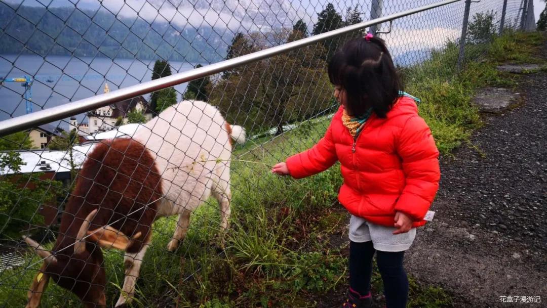 从慕尼黑到瑞士,从德国慕尼黑到瑞士