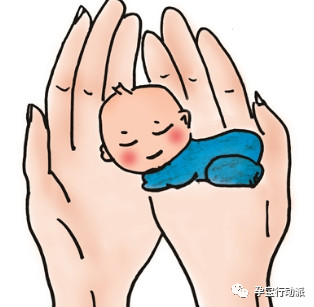 孕期周刊 第三十周