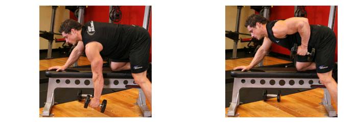 如何训练背阔肌使背部看起来宽大,背阔肌为主的背部训练