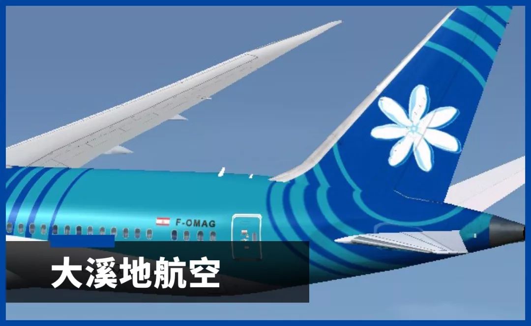 子母机飞机,飞机有副机吗