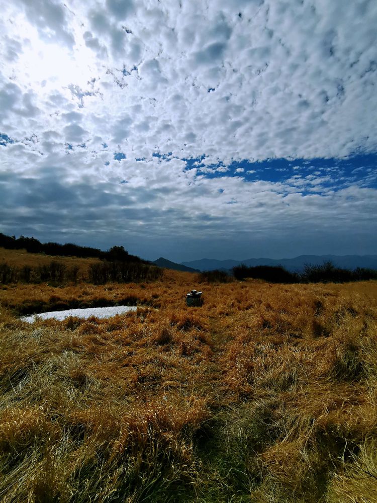 20201101惊悚之行~首阳山大坪梁单日横穿+原返