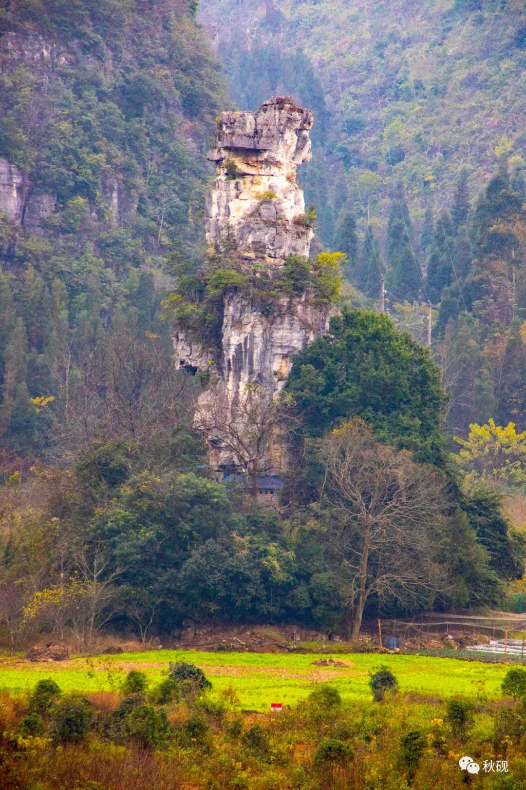 周游西南随记（六）弥蒙的万峰林