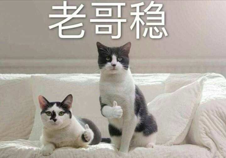 平安保险公司到底是怎么样的,平安保险公司到底靠谱不