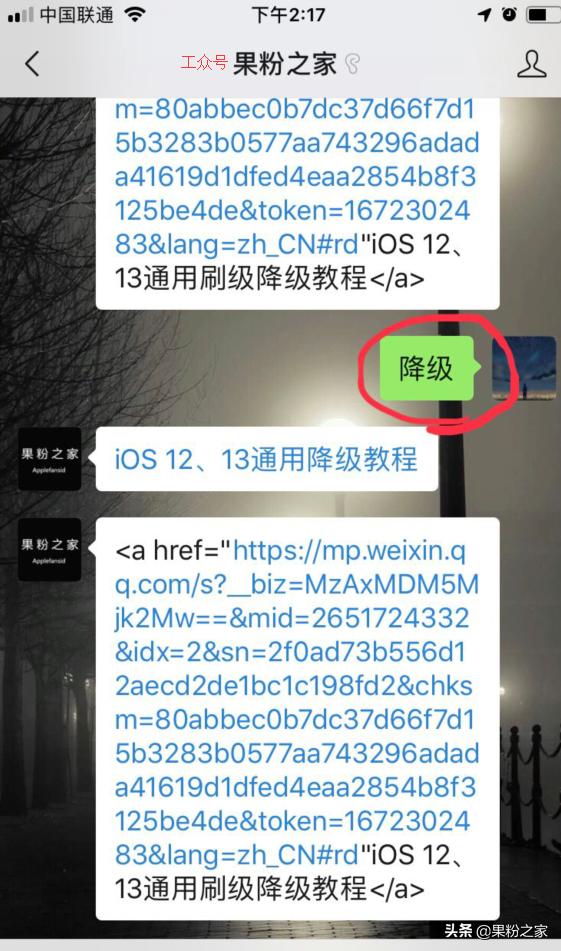 ios13降级,ios13降级教程最新