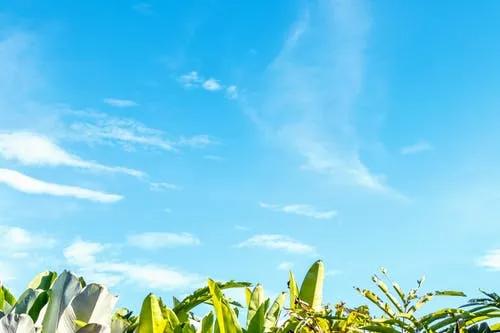 尼泰集成灶售后服务电话,尼泰集成灶厨电卫浴一站式