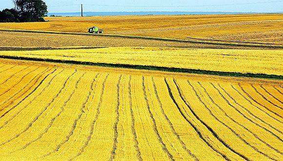 大庆市纳税企业排名,哈尔滨私企实力排名