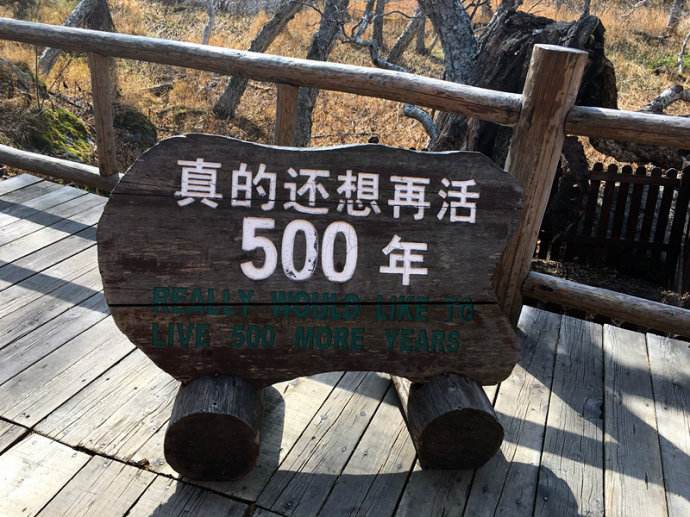 接力贷可以贷到80岁吗,接力贷的优点与缺点