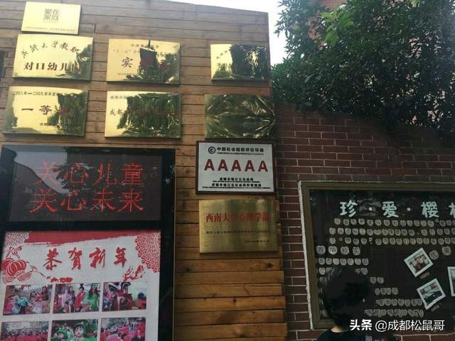 成都民办普惠幼儿园利弊,成都普惠幼儿园排行榜