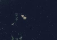 手游武侠排行榜前十名天涯明月刀,天涯明月刀手游最新版本谁最强