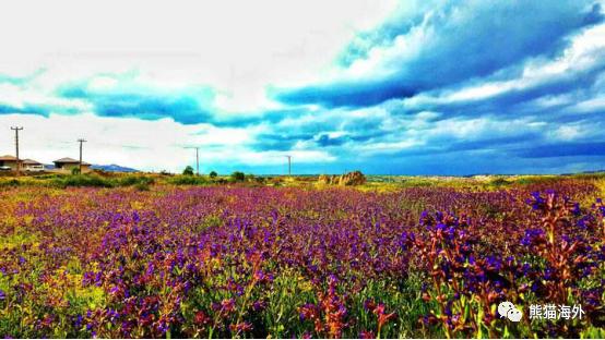 关于乌克兰你了解多少,关于塞尔维亚你了解多少