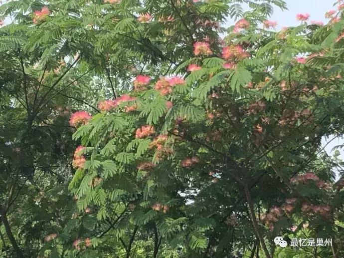 黄麓最近哪里好玩,黄麓镇地理位置