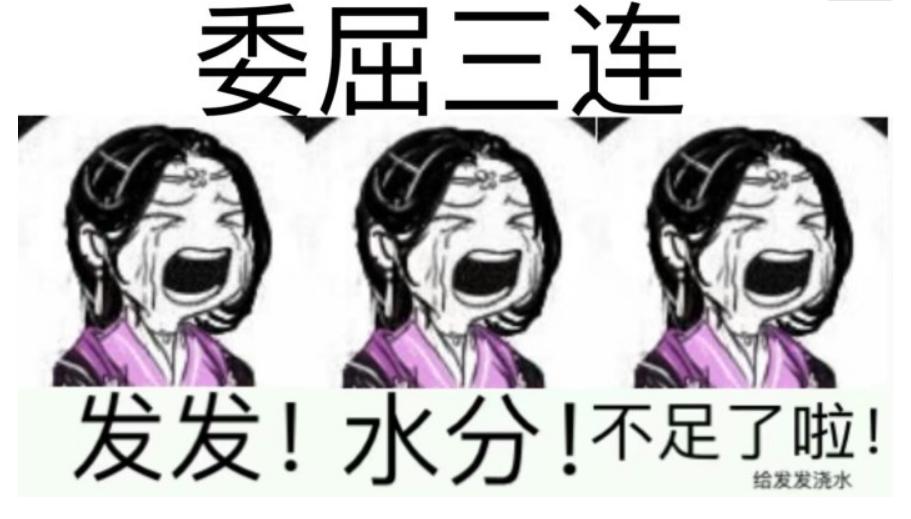 剑网三怀旧服坑不坑,剑网三怀旧服普通副本最低等级