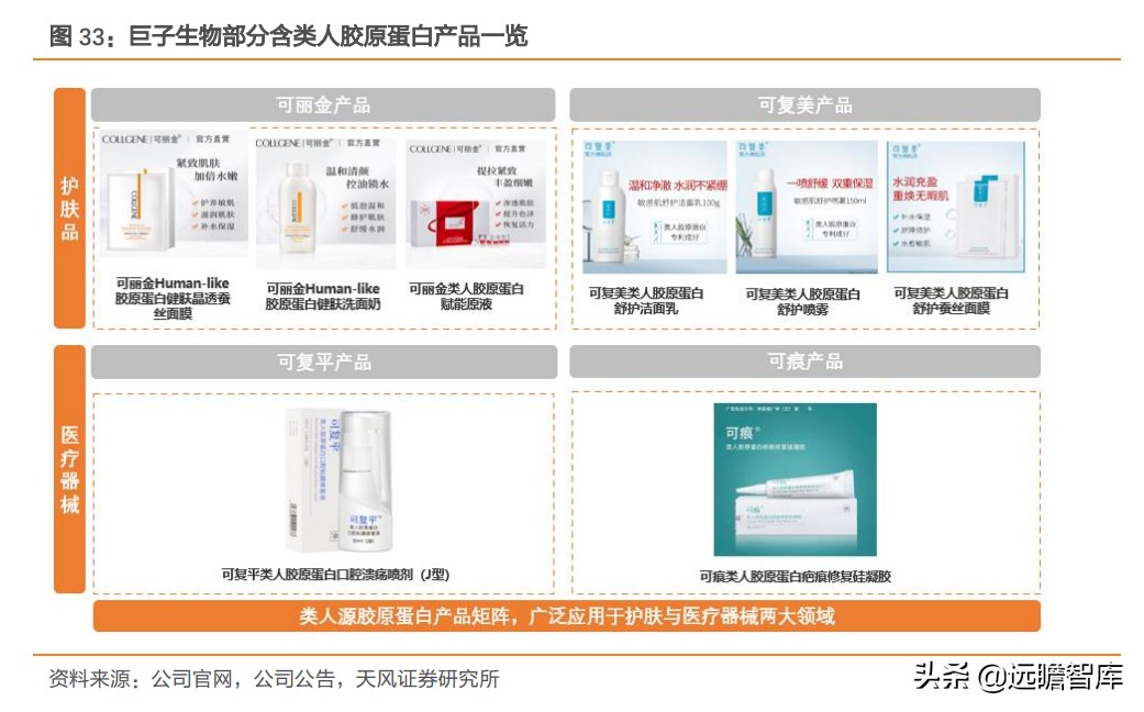 重组胶原蛋白未来趋势,胶原蛋白重组是高端产业吗