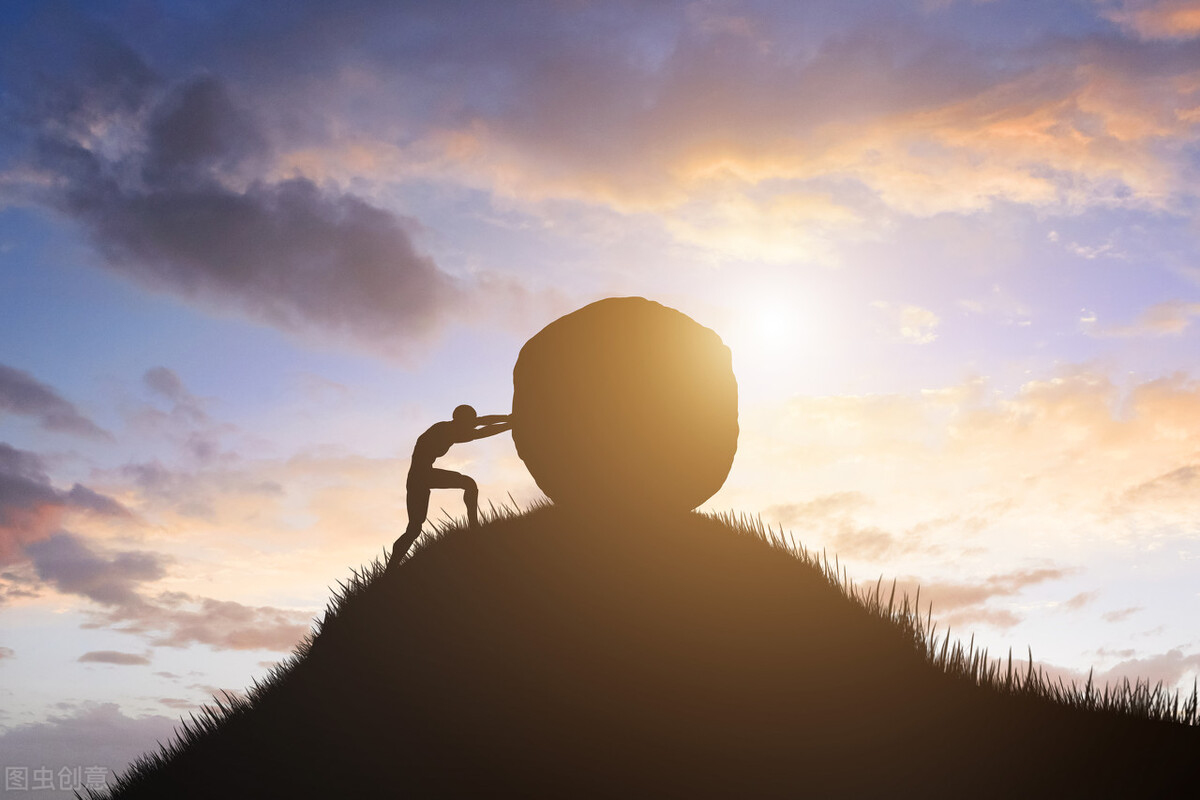 法学专业必须选什么才能报,2022高考志愿律师专业