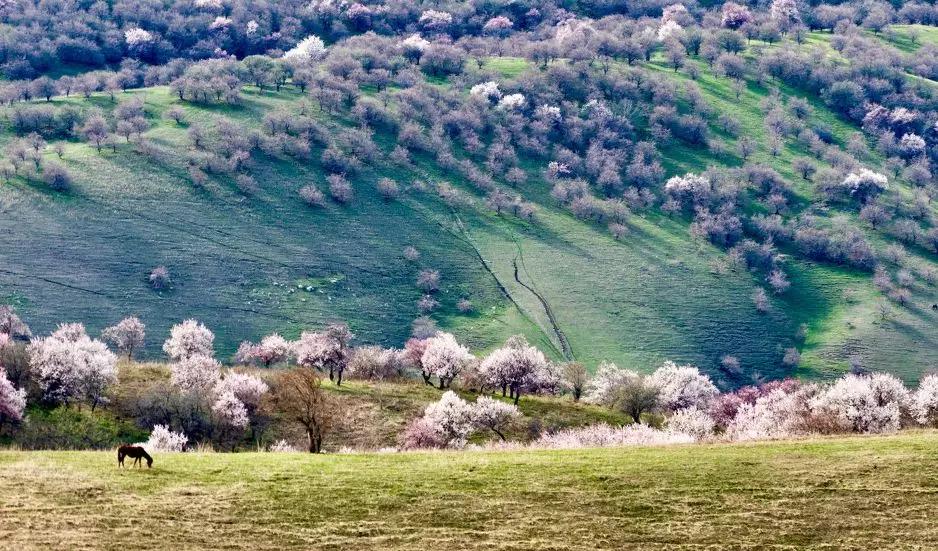 南疆喀什值得去吗,新疆之旅第三站喀什