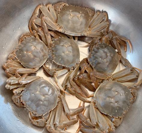 买螃蟹别瞎拿，牢记5个妙招，买的螃蟹个个膏满肉肥，不花冤枉钱
