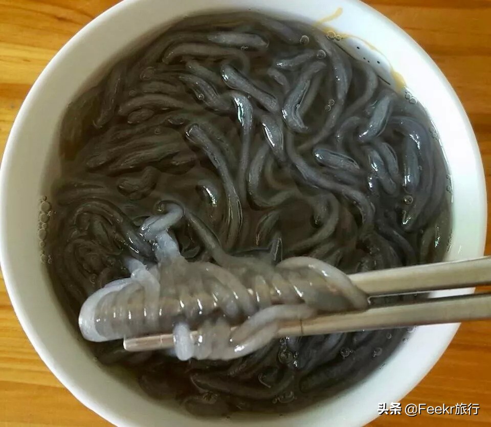 广东著名渔港开渔,广东开渔季节