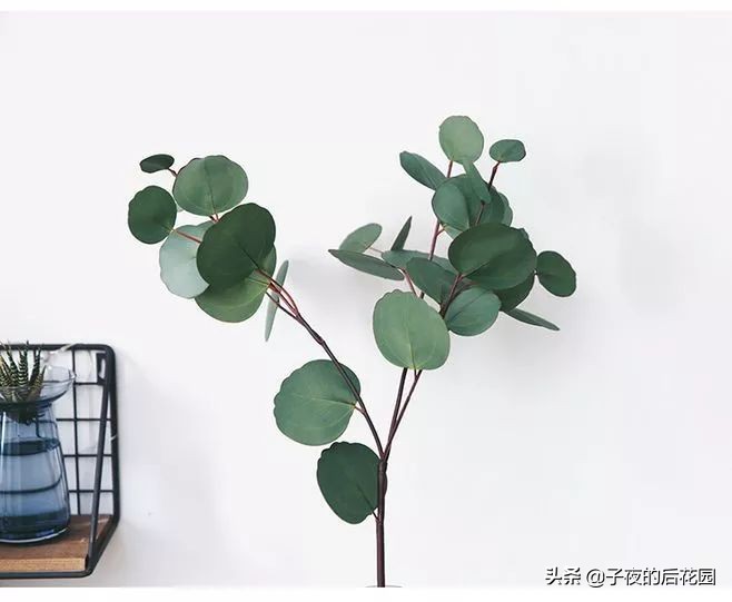 花店常用的配花配草有哪些方法,常见配花配草