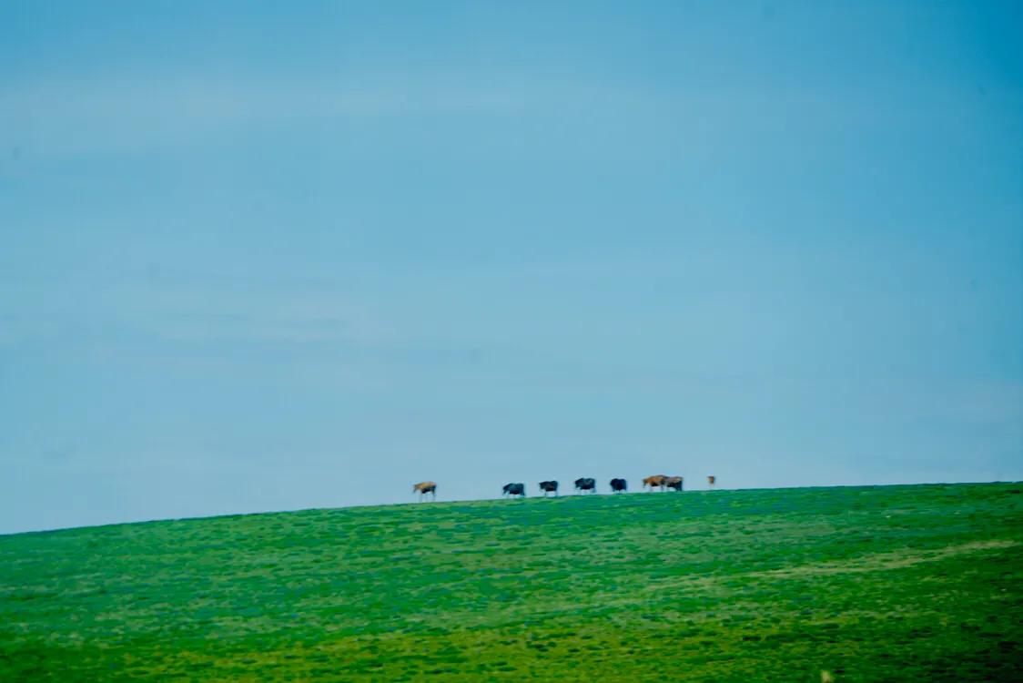 占中国六分之一地盘的*疆新**，12个5A景区N个世界遗产你走过多少？